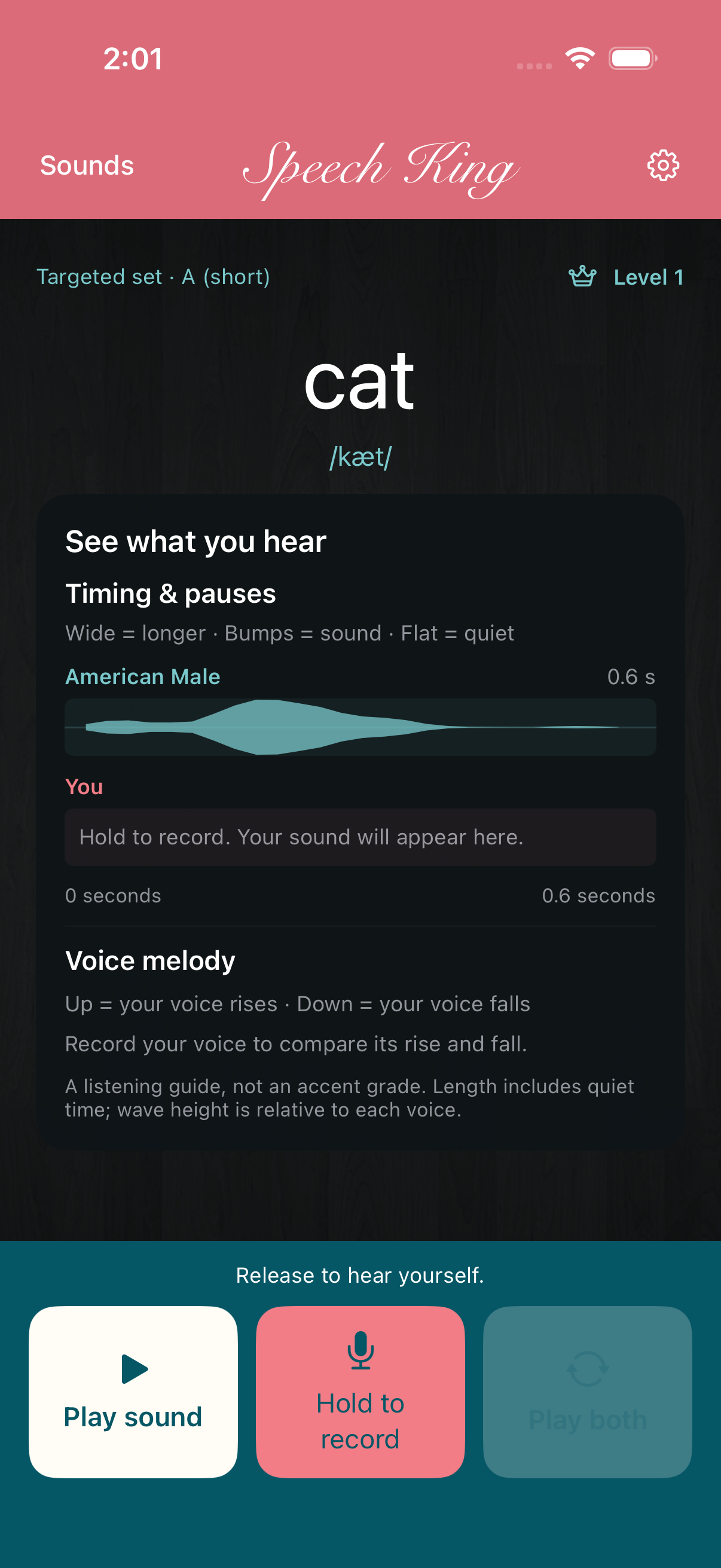 Speech King’s current listening and recording screen shown on an iPhone